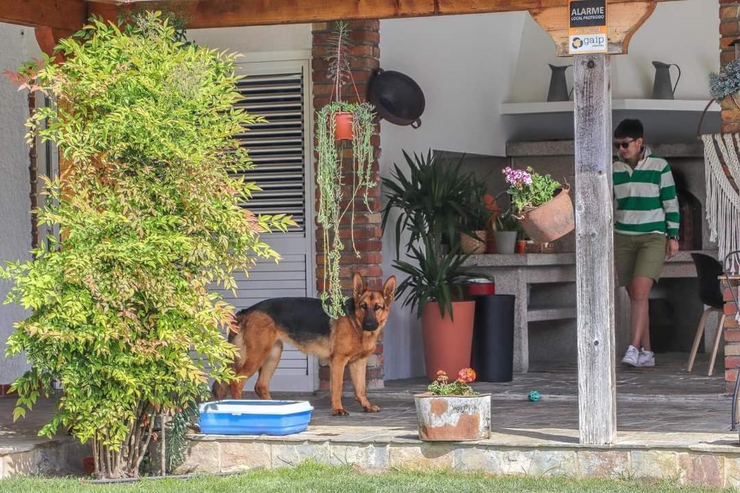 Villa dos Corcéis Esposende Esterno foto